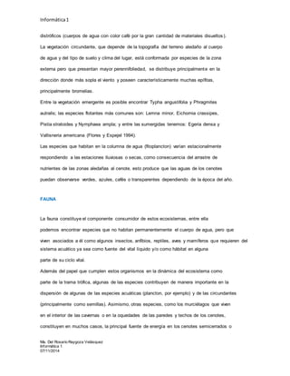 Informática1
Ma. Del Rosario Raygoza Velásquez
Informática 1
07/11/2014
distróficos (cuerpos de agua con color café por la gran cantidad de materiales disueltos).
La vegetación circundante, que depende de la topografía del terreno aledaño al cuerpo
de agua y del tipo de suelo y clima del lugar, está conformada por especies de la zona
externa pero que presentan mayor perennifoliedad, se distribuye principalmente en la
dirección donde más sopla el viento y poseen característicamente muchas epífitas,
principalmente bromelias.
Entre la vegetación emergente es posible encontrar Typha angustifolia y Phragmites
autralis; las especies flotantes más comunes son: Lemna minor, Eichornia crassipes,
Pistia stratoides y Nymphaea ampla; y entre las sumergidas tenemos: Egeria densa y
Vallisneria americana (Flores y Espejel 1994).
Las especies que habitan en la columna de agua (fitoplancton) varían estacionalmente
respondiendo a las estaciones lluviosas o secas, como consecuencia del arrastre de
nutrientes de las zonas aledañas al cenote, esto produce que las aguas de los cenotes
puedan observarse verdes, azules, cafés o transparentes dependiendo de la época del año.
FAUNA
La fauna constituye el componente consumidor de estos ecosistemas, entre ella
podemos encontrar especies que no habitan permanentemente el cuerpo de agua, pero que
viven asociados a él como algunos insectos, anfibios, reptiles, aves y mamíferos que requieren del
sistema acuático ya sea como fuente del vital líquido y/o como hábitat en alguna
parte de su ciclo vital.
Además del papel que cumplen estos organismos en la dinámica del ecosistema como
parte de la trama trófica, algunas de las especies contribuyen de manera importante en la
dispersión de algunas de las especies acuáticas (plancton, por ejemplo) y de las circundantes
(principalmente como semillas). Asimismo, otras especies, como los murciélagos que viven
en el interior de las cavernas o en la oquedades de las paredes y techos de los cenotes,
constituyen en muchos casos, la principal fuente de energía en los cenotes semicerrados o
 