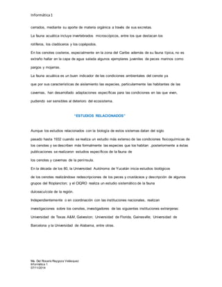 Informática1
Ma. Del Rosario Raygoza Velásquez
Informática 1
07/11/2014
cerrados, mediante su aporte de materia orgánica a través de sus excretas.
La fauna acuática incluye invertebrados microscópicos, entre los que destacan los
rotíferos, los cladóceros y los copépodos.
En los cenotes costeros, especialmente en la zona del Caribe además de su fauna típica, no es
extraño hallar en la capa de agua salada algunos ejemplares juveniles de peces marinos como
pargos y mojarras.
La fauna acuática es un buen indicador de las condiciones ambientales del cenote ya
que por sus características de aislamiento las especies, particularmente las habitantes de las
cavernas, han desarrollado adaptaciones específicas para las condiciones en las que viven,
pudiendo ser sensibles al deterioro del ecosistema.
“ESTUDIOS RELACIONADOS”
Aunque los estudios relacionados con la biología de estos sistemas datan del siglo
pasado hasta 1932 cuando se realiza un estudio más extenso de las condiciones fisicoquímicas de
los cenotes y se describen más formalmente las especies que los habitan ,posteriormente a éstas
publicaciones se realizaron estudios específicos de la fauna de
los cenotes y cavernas de la península.
En la década de los 80, la Universidad Autónoma de Yucatán inicia estudios biológicos
de los cenotes realizándose redescripciones de los peces y crustáceos y descripción de algunos
grupos del fitoplancton; y el CIQRO realiza un estudio sistemático de la fauna
dulceacuícola de la región.
Independientemente o en coordinación con las instituciones nacionales, realizan
investigaciones sobre los cenotes, investigadores de las siguientes instituciones extranjeras:
Universidad de Texas A&M, Galveston; Universidad de Florida, Gainesville; Universidad de
Barcelona y la Universidad de Alabama, entre otras.
 