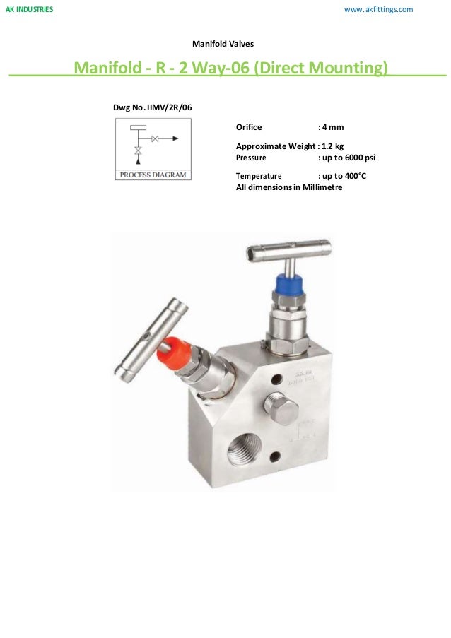 2 way manifold valve 06