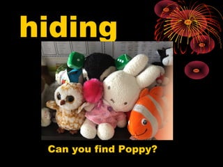 hiding
Can you find Poppy?
 