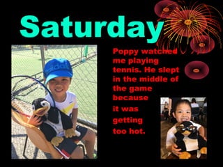 Saturday
Poppy watched
me playing
tennis. He slept
in the middle of
the game
because
it was
getting
too hot.
 