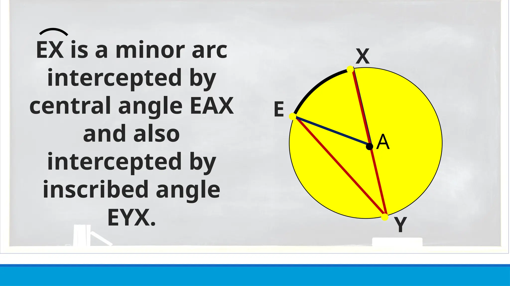 ●
Y
●
EX is a minor arc
intercepted by
central angle EAX
and also
intercepted by
inscribed angle
EYX. ●
E
X
● A
 