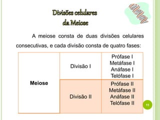 A meiose consta de duas divisões celulares 
consecutivas, e cada divisão consta de quatro fases: 
11 
Meiose 
Divisão I 
Prófase I 
Metáfase I 
Anáfase I 
Telófase I 
Divisão II 
Prófase II 
Metáfase II 
Anáfase II 
Telófase II 
 