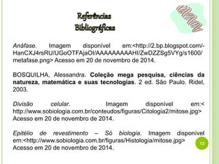 Anáfase. Imagem disponível em:<http://2.bp.blogspot.com/- 
HanCXJ4rsRU/UGoOTFAjaOI/AAAAAAAAAHI/ZwDZZSg5VYg/s1600/ 
metafase.png> Acesso em 20 de novembro de 2014. 
BOSQUILHA, Alessandra. Coleção mega pesquisa, ciências da 
natureza, matemática e suas tecnologias. 2 ed. São Paulo. Ridel, 
2003. 
Divisão celular. Imagem disponível em:< 
http://www.sobiologia.com.br/conteudos/figuras/Citologia2/mitose.jpg> 
Acesso em 20 de novembro de 2014. 
Epitélio de revestimento – Só biologia. Imagem disponível 
em:<http://www.sobiologia.com.br/figuras/Histologia/mitose.jpg> 
12 
Acesso em 20 de novembro de 2014. 
 