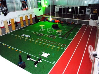 Como montar e administrar um studio de treinamento funcional