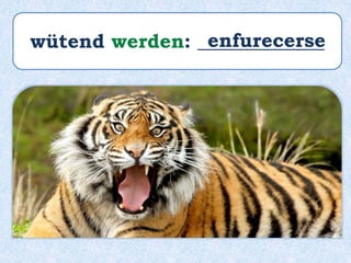 wütend werden: _____________enfurecerse
 