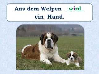 Aus dem Welpen _______
ein Hund.
wird
 