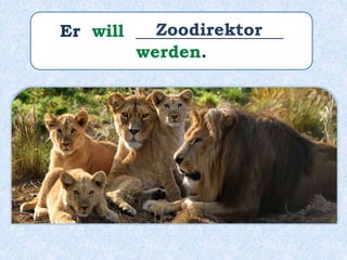 Er will _________________
werden.
Zoodirektor
 