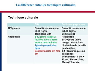 La différence entre les techniques culturales



Technique culturale

                    SRI                      Pratiques paysannes
1Pépinière          Quantité de semence      Quantité de semence
                     8-10 Kg/ha               50-60 Kg/ha
                    Trempage 24h             Semis à sec
Repiquage           8-12 jours (stade 2      Repiquage
                    feuilles avec la terre   21-30 jours (avec
                    autour des racines)      lavage des racines,
                    1plant /poquet et en     diminution de la taille
                    ligne                    des feuilles)
                    Ecartement 25 cm X25     3-4 Plants/poquet en
                    cm                       quinconce
                                             Ecartement 15 cm X
                                             15 cm, 15cmX20cm,
                                             20cmX20cm etc
 