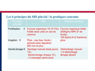 Les 6 principes du SRI pluvial / la pratiques courante
    Technique                 SRI                 Pratique courante
     culturale

 Fertilisation 4 Fumure organique 10-15 T/ha Fumure organique faible
                 Faible dose urée en cas de  200Kg/ha NPK (F de
                 carence                     fonds)
                                             100 Kg/ha N (2 fractions)
 Irrigation 5    Pluie , eau bas- fonds (    pluie
                 période pluie régulière)
                 800 mm et plus
 Sarclo-binage 6 Sarclage manuel stade jeune Désherbage manuel
                 15 j                        1-4 désherbage
                  Sarclo-binage chaque 10 j  Binage absent
                  ( 4 passage) après pluie
 