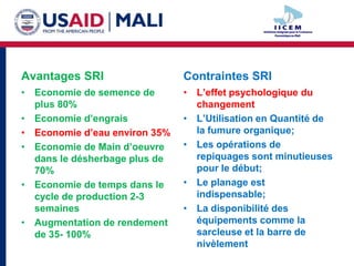 Avantages SRI                  Contraintes SRI
• Economie de semence de       • L’effet psychologique du
  plus 80%                       changement
• Economie d’engrais           • L’Utilisation en Quantité de
• Economie d’eau environ 35%     la fumure organique;
• Economie de Main d’oeuvre    • Les opérations de
  dans le désherbage plus de     repiquages sont minutieuses
  70%                            pour le début;
• Economie de temps dans le    • Le planage est
  cycle de production 2-3        indispensable;
  semaines                     • La disponibilité des
• Augmentation de rendement      équipements comme la
  de 35- 100%                    sarcleuse et la barre de
                                 nivèlement
 