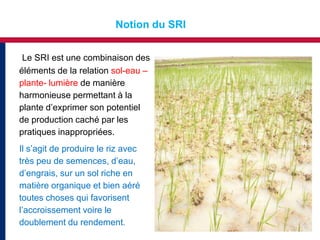 Notion du SRI


 Le SRI est une combinaison des
éléments de la relation sol-eau –
plante- lumière de manière
harmonieuse permettant à la
plante d’exprimer son potentiel
de production caché par les
pratiques inappropriées.
Il s’agit de produire le riz avec
très peu de semences, d’eau,
d’engrais, sur un sol riche en
matière organique et bien aéré
toutes choses qui favorisent
l’accroissement voire le
doublement du rendement.
 