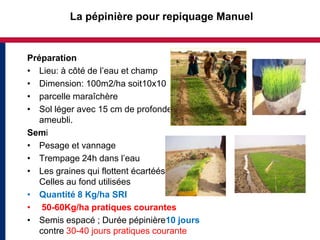 La pépinière pour repiquage Manuel


Préparation
• Lieu: à côté de l’eau et champ
• Dimension: 100m2/ha soit10x10
• parcelle maraîchère
• Sol léger avec 15 cm de profondeur bien
   ameubli.
Semi
• Pesage et vannage
• Trempage 24h dans l’eau
• Les graines qui flottent écartéés, celles
   Celles au fond utilisées
• Quantité 8 Kg/ha SRI
• 50-60Kg/ha pratiques courantes
• Semis espacé ; Durée pépinière10 jours
   contre 30-40 jours pratiques courante
 