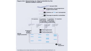 2 whole genome sequencing and analysis | PPTX