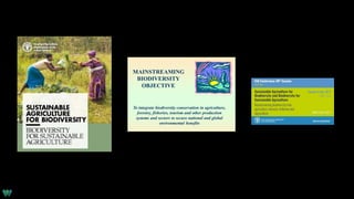 Rethinking Mainstreaming
So that nature can survive until
population and climate stabilize
 