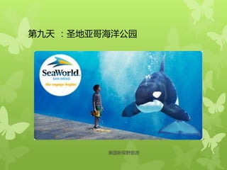 第九天 ：圣地亚哥海洋公园
美国新视野旅游
 