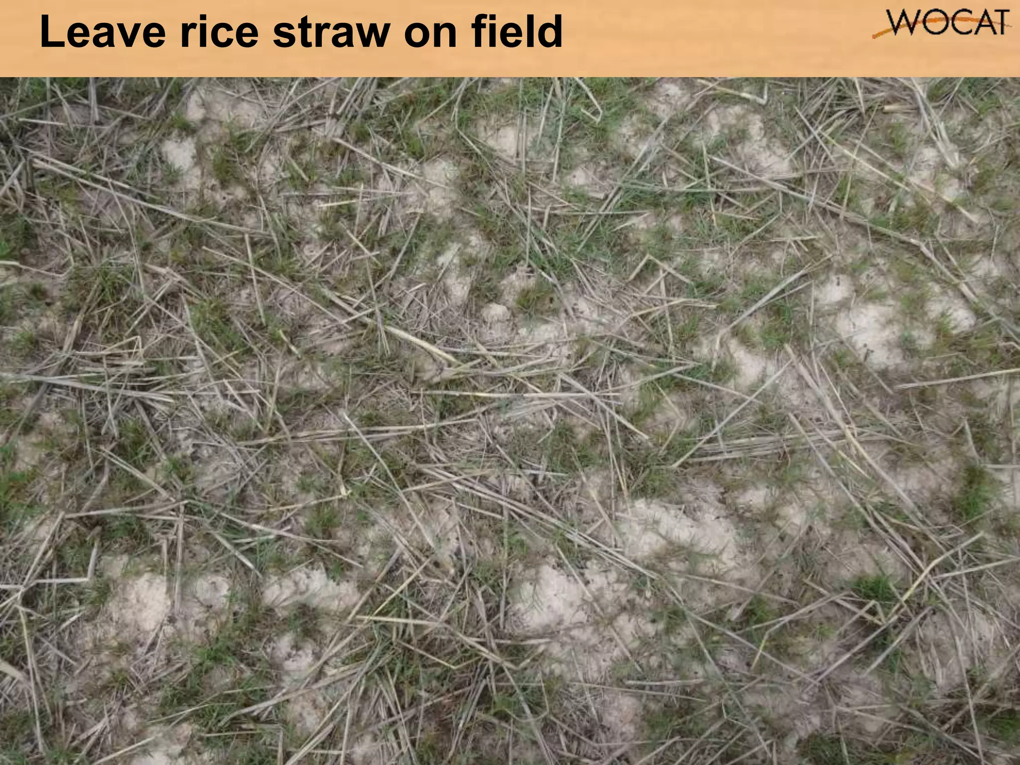 17
Leave rice straw on field
 