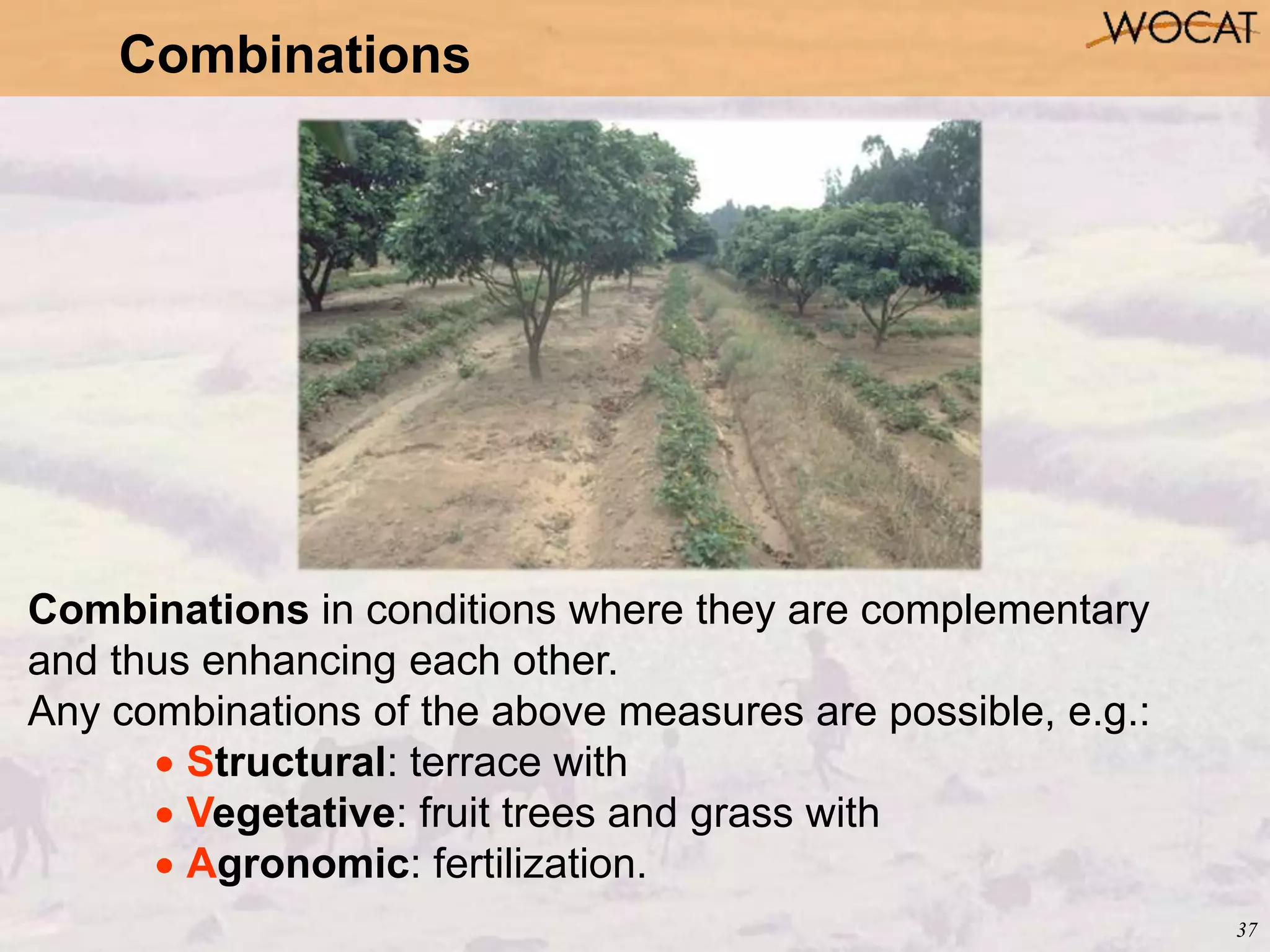 37
Combinations
Combinations in conditions where they are complementary
and thus enhancing each other.
Any combinations of the above measures are possible, e.g.:
 Structural: terrace with
 Vegetative: fruit trees and grass with
 Agronomic: fertilization.
 