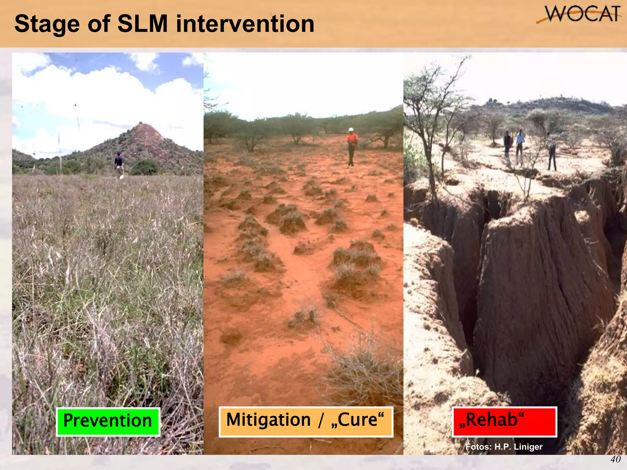 40
Fotos: H.P. Liniger
Mitigation / „Cure“Prevention „Rehab“
Stage of SLM intervention
 