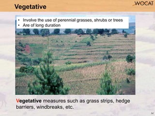 34
Vegetative
Vegetative measures such as grass strips, hedge
barriers, windbreaks, etc.
• Involve the use of perennial gr...