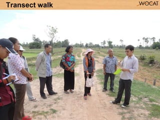 5
Transect walk
 
