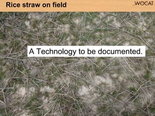 9
Rice straw on field
A Technology to be documented.
 