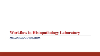 Workflow in Histopathology Laboratory
MR:MAHMOUD IBRAHIM
 