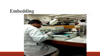 Embedding
 