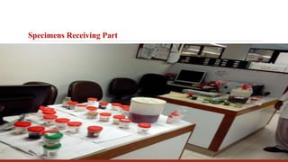 Specimens Receiving Part
 