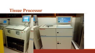 Tissue Processor
 