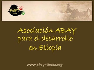 www.abayetiopia.org 
 