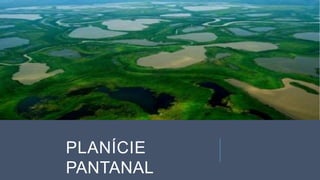 2 complexo regional-centro-sul