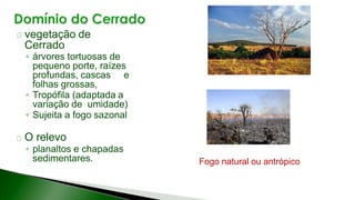 2 complexo regional-centro-sul