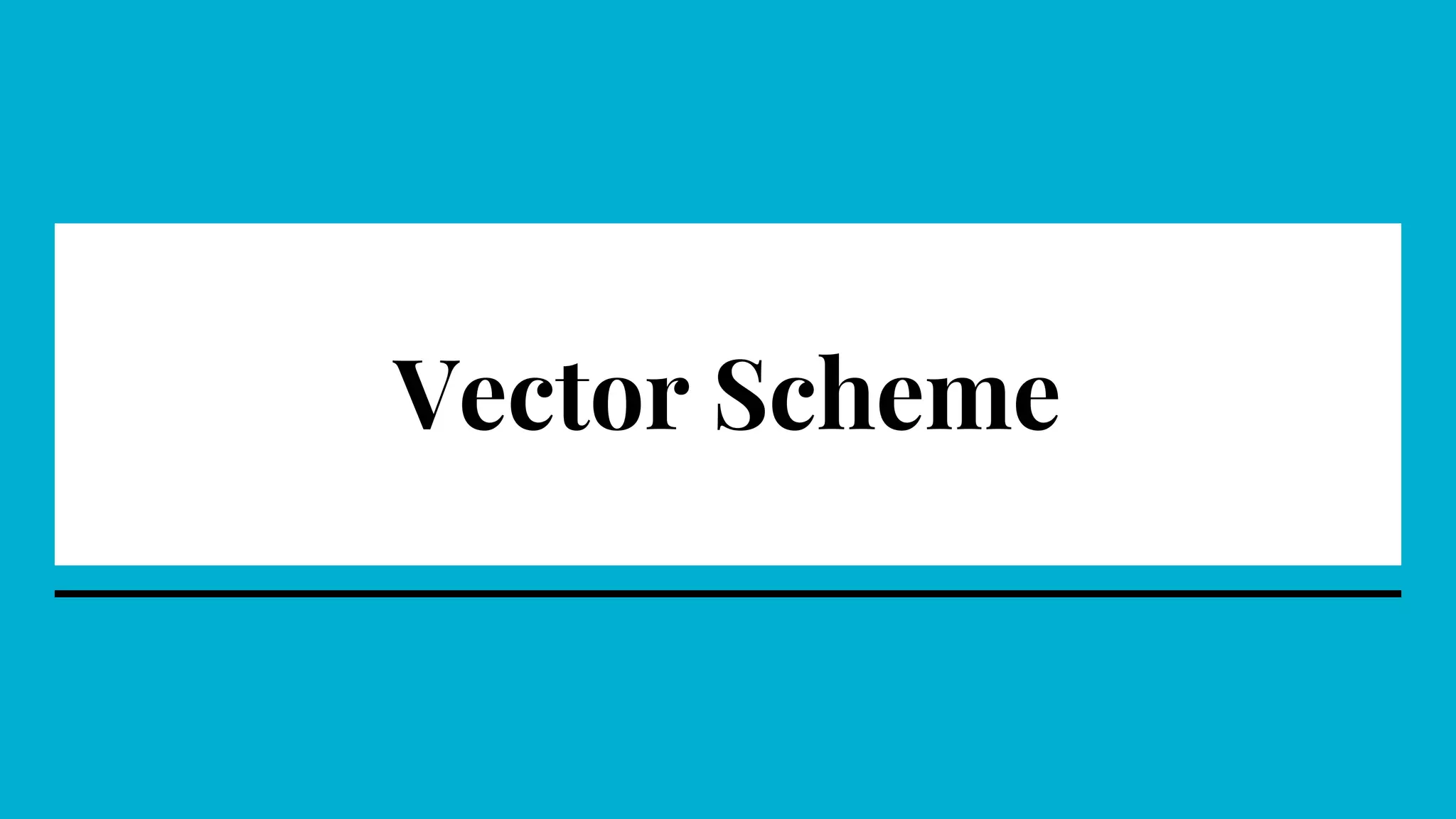Vector Scheme
 