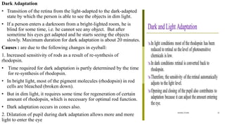 THE_PHYSIOLOGY_OF_VISION_(DR_EZE).pptx A comprehensive summery | PPTX