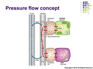 Pressure flow concept Copyright © 2010 All Rights Reserved 