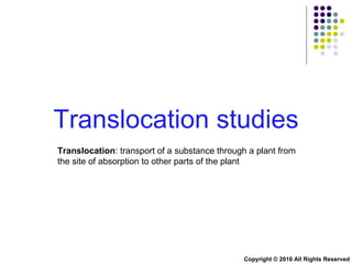 Translocation studies Translocation : transport of a substance through a plant from the site of absorption to other parts of the plant  Copyright © 2010 All Rights Reserved 
