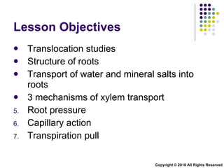 Lesson Objectives Translocation studies Structure of roots Transport of water and mineral salts into roots 3 mechanisms of xylem transport  Root pressure Capillary action Transpiration pull Copyright © 2010 All Rights Reserved 