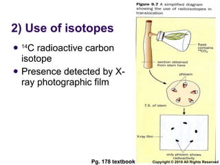 2) Use of isotopes 14 C radioactive carbon isotope  Presence detected by X-ray photographic film Pg. 178 textbook Copyright © 2010 All Rights Reserved 
