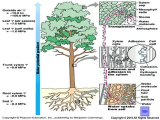 Copyright © 2010 All Rights Reserved 