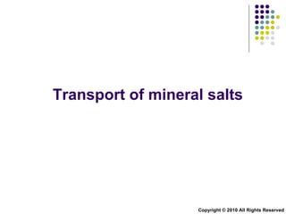 Transport of mineral salts Copyright © 2010 All Rights Reserved 