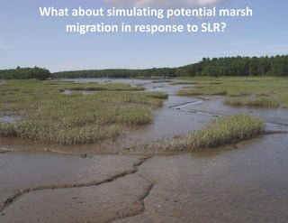What about simulating potential marsh migration in response to SLR?  