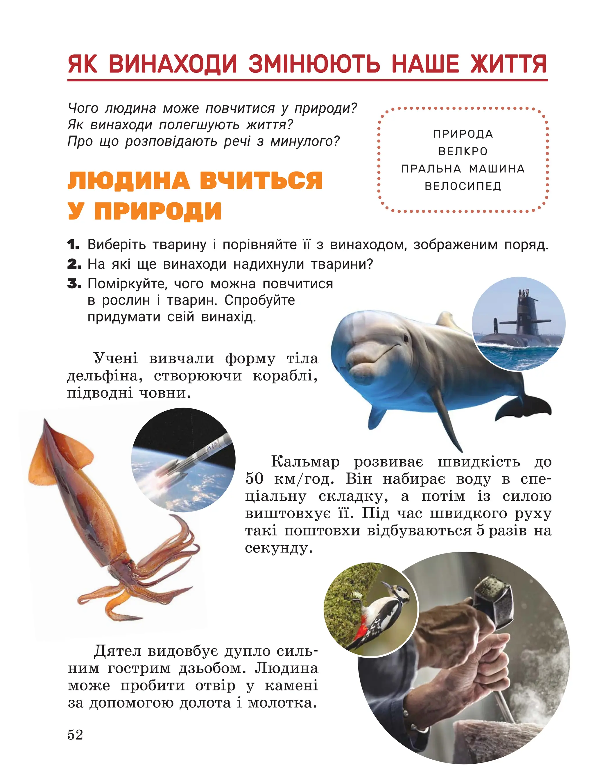 Slide 52