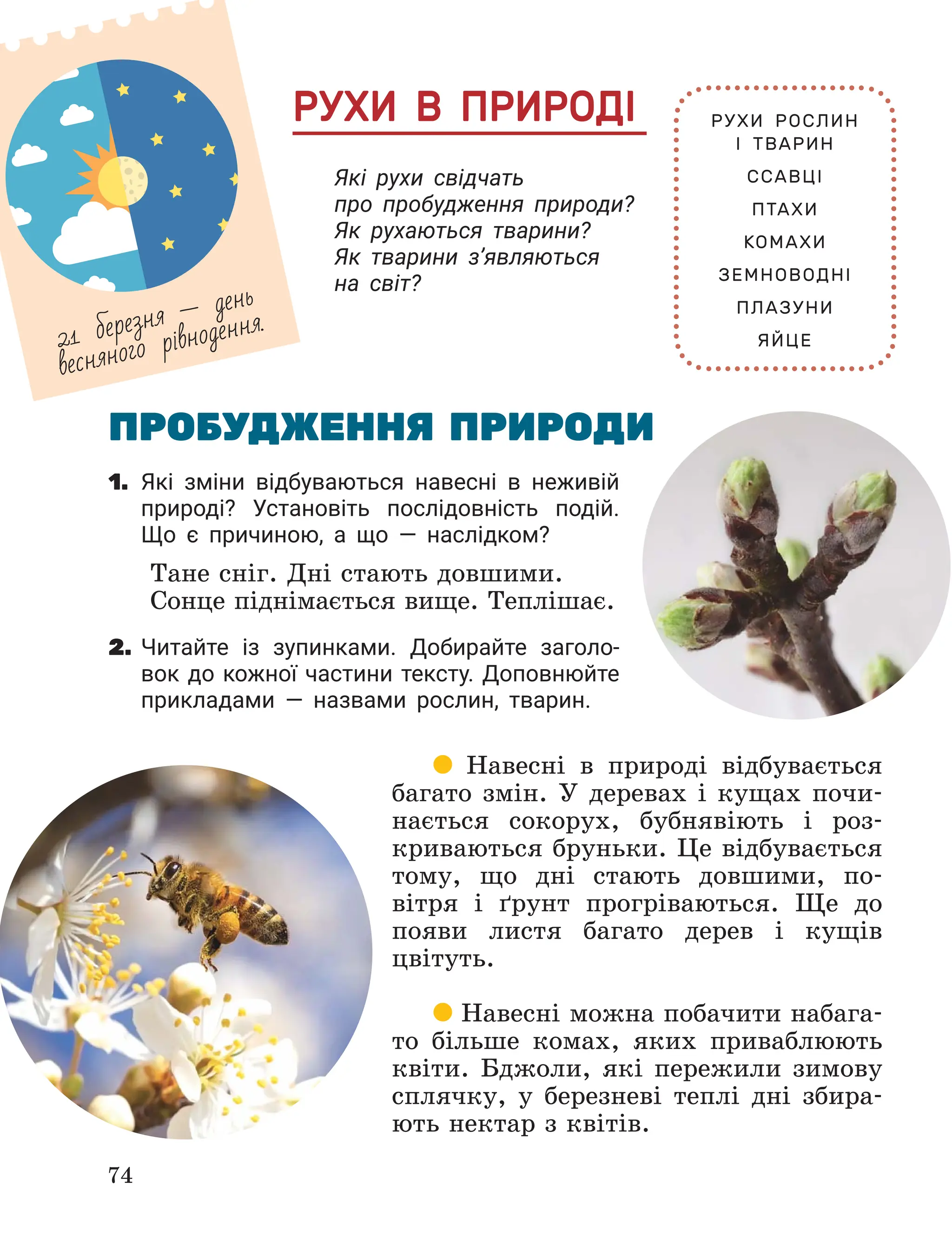 Slide 74