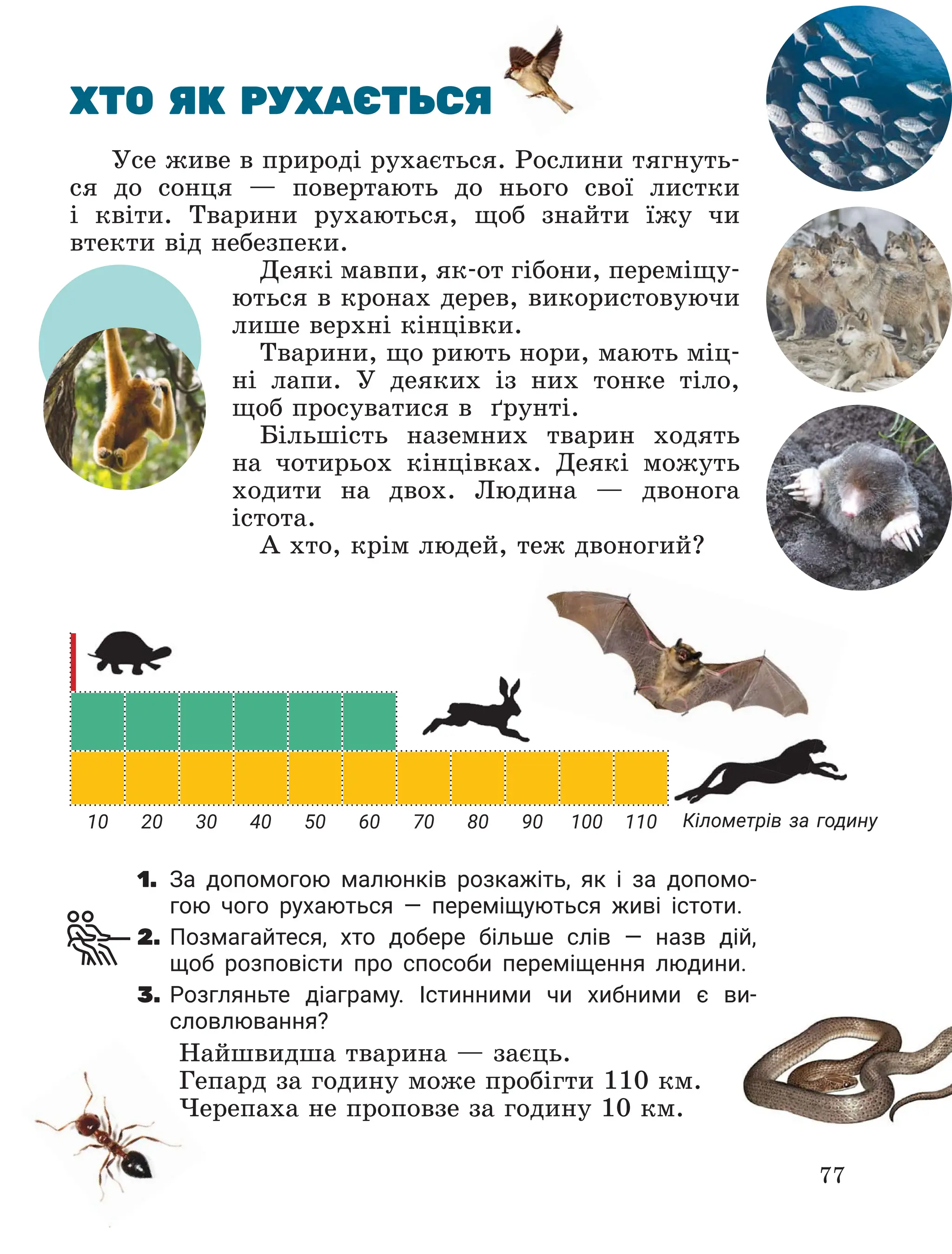 Slide 77