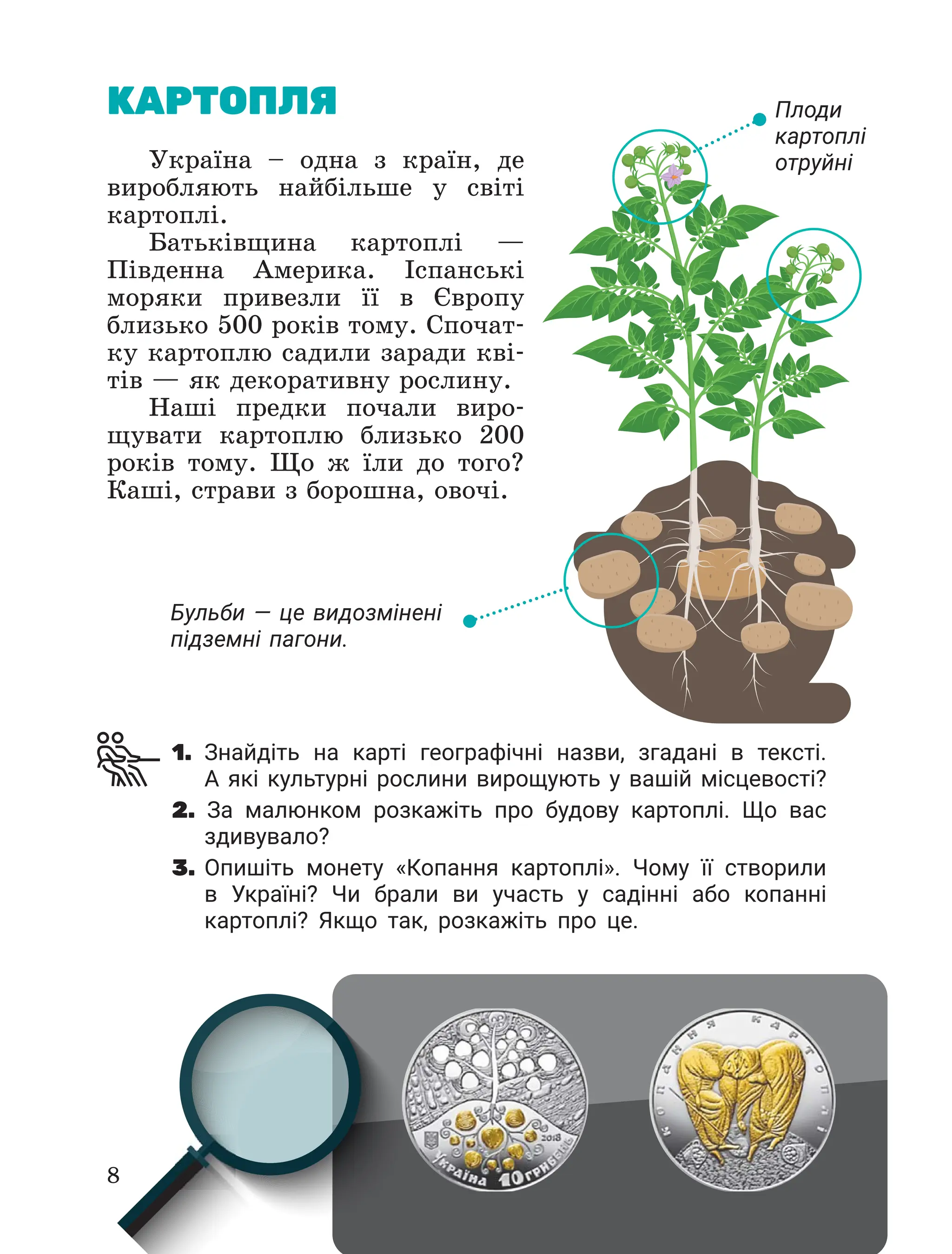 Slide 8