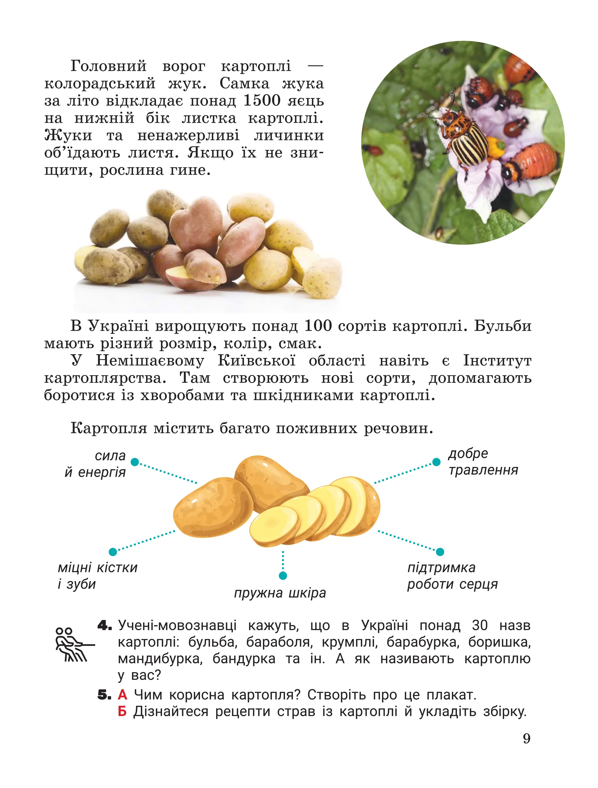 Slide 9