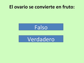 El ovario se convierte en fruto: 
Falso 
Verdadero 
 