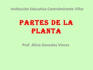 Institución Educativa Contralmirante Villar 
PARTES DE LA 
PLANTA 
Prof. Alicia Gonzales Vinces 
 