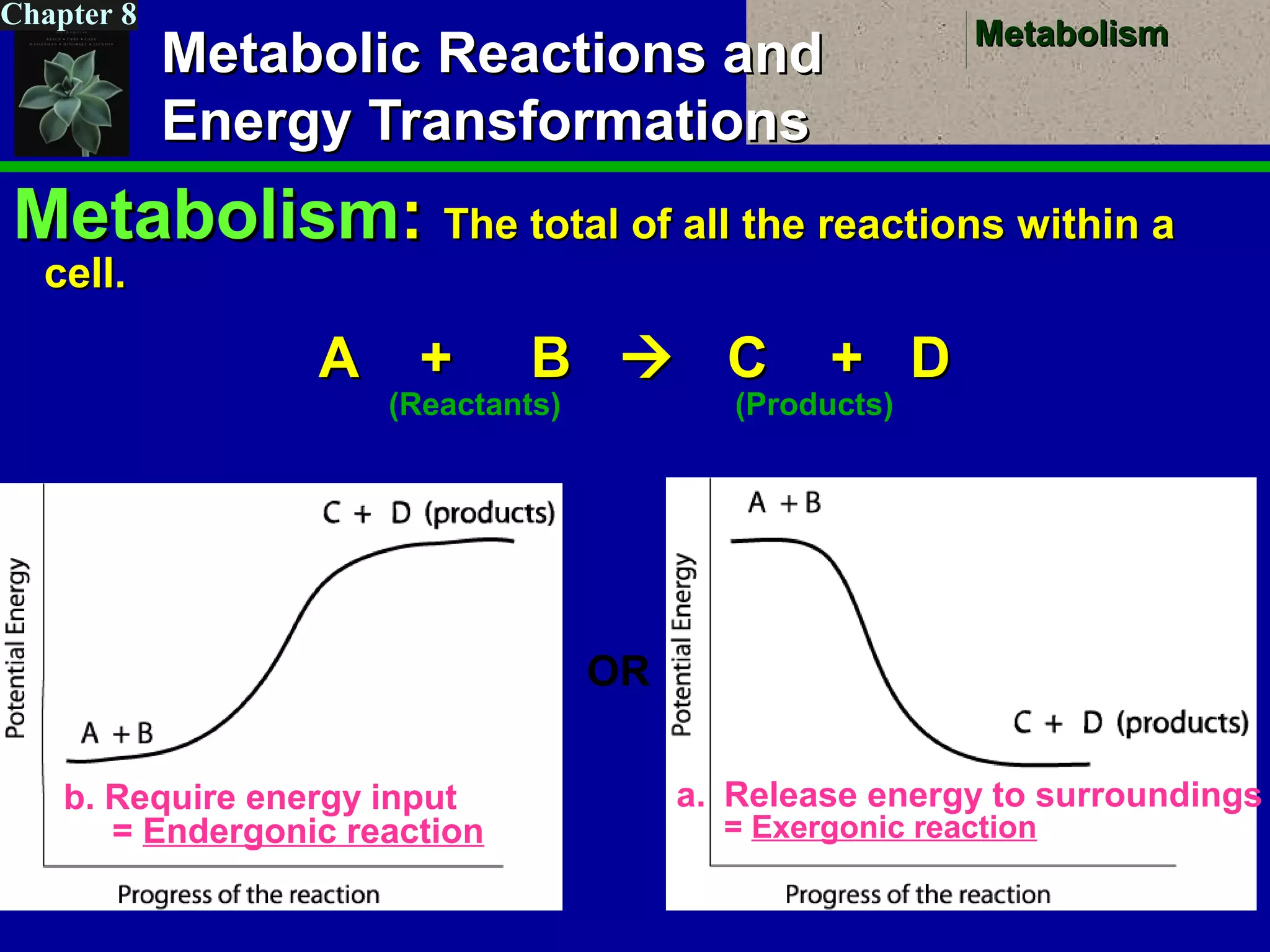 MetabolismMetabolism
Chapter 8
Metabolic Reactions andMetabolic Reactions and
Energy TransformationsEnergy Transformations
MetabolismMetabolism:: The total of all the reactions within aThe total of all the reactions within a
cell.cell.
A + BA + B  C + DC + D
(Reactants) (Products)
OR
b. Require energy input
= Endergonic reaction
a. Release energy to surroundings
= Exergonic reaction
 